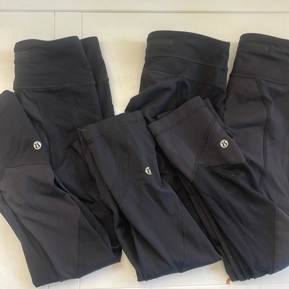 Pace Rival crops lot